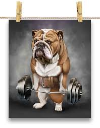 Image result for Bulldogs Power and strength