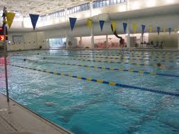 Image result for Greenwich Borough Mariners Swimming Club