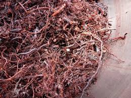 Attēlu rezultāti vaicājumam “Galium album fruit”