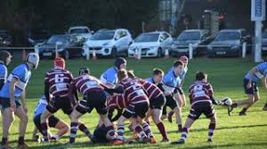 Image result for Newcastle(Staffs) Rugby Union Football Club