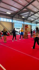 Image result for Carterton Gymnastics Club