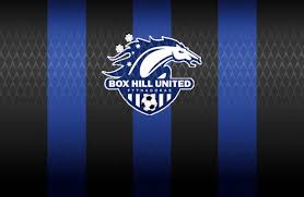 Image result for Box Hill SC