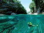 Top 100 Best Diving Places