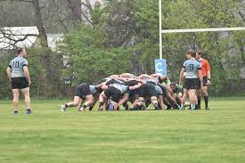 Image result for Lowca Amateur Rugby League Football Club