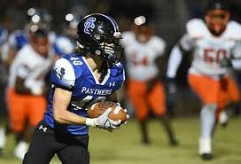 Image result for Hamilton Panthers Association Football Club