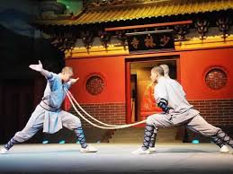 Image result for Shaolin Ancestors kung Fu School