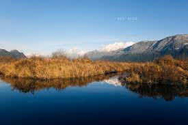 Image result for Leek Park B C