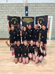 Image result for Molineux Netball Club