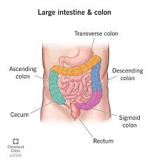 Image result for inthe.es