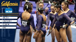 Image result for N C A A C