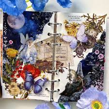 Attēlu rezultāti vaicājumam “Ephemera sp.”