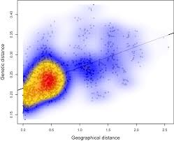 Attēlu rezultāti vaicājumam “Dracocephalum ruyschiana fruit”