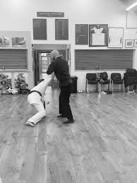 Image result for Soncho Karate Club