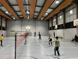 Image result for Solihull Borough Bad Squad Badminton Club