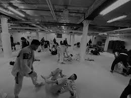 Image result for Unity School Of Jiu Jitsu