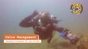 Image result for innerspace divers