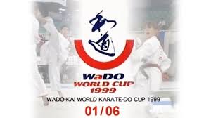 Image result for Karate Wado Kai