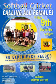 Image result for Blackwood Town Cricket Club