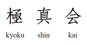 Image result for Kyoku Kenjutsu Kai