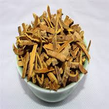 Attēlu rezultāti vaicājumam “Phellodendron amurense bud”