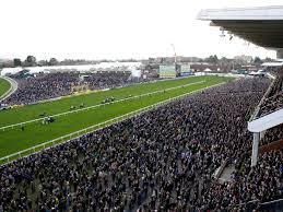 Image result for Cheltenham Cc