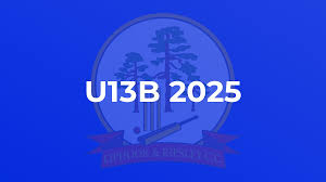 Image result for Liphook & Ripsley Cc