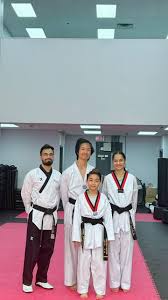 Image result for Surrey Taekwondo