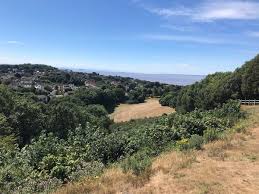 Image result for Clevedon Golf Club