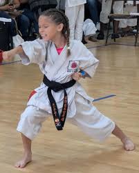 Image result for Junsui Shotokan Karate Do