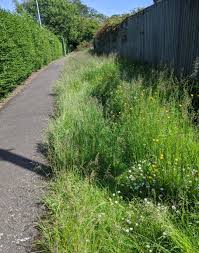 Image result for Woodmancote SMBC