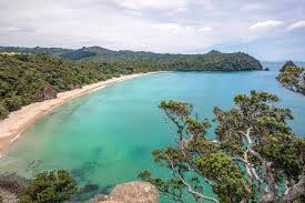 Image result for new chums beach