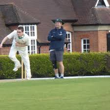 Image result for Waverley Cricket Club
