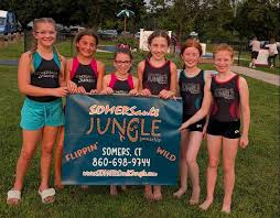 Image result for Newton Abbot Somersaults Gc