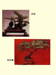 Image result for 艰苦阅历 孔泰初