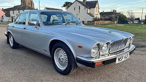 Image result for Sable Black 1982 Jaguar