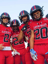 Image result for Clayton Valley Badminton Club