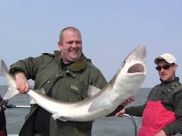 Image result for Bristol Channel Sea Fishing