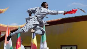 Image result for kung fu