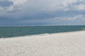 Image result for 耐震 大津波無力