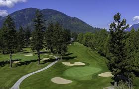 Image result for Cheam Girls Gc