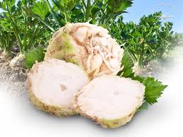 Image result for Sellerie