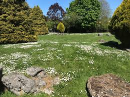 Image result for Addington Village Cricket Club