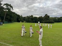 Image result for Welwyn Garden City Cricket Club