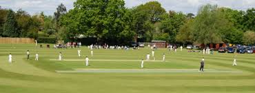 Image result for Steeple Langford Cricket Club
