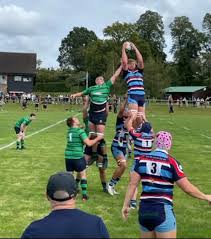 Image result for Old Reigatian Rfc