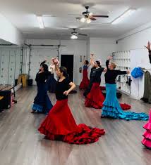 Image result for Flamenco Dance School