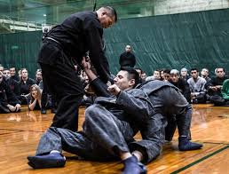 Image result for M-S-N Ninjutsu (Bujinkan) Club