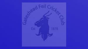 Image result for Gateshead Fell Cricket Club