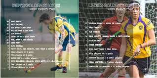 Image result for Kingston Upon Hull Hockey Club