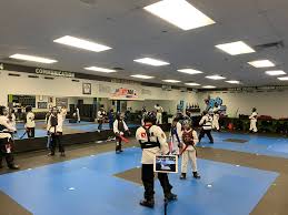 Image result for IXL Martial Arts